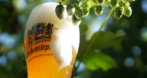 Brewing With Tradition: Wheat Beer's Rich History & Modern Appeal